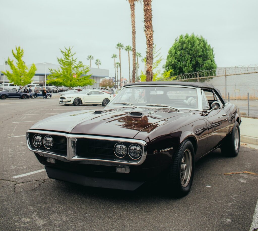 Ciemny Pontiac Firebird z USA pierwszej generacji (1967–1969) w wersji cabrio zaparkowany na tle palm w miejskim otoczeniu